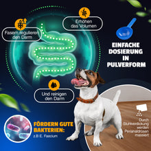 Carica l&#39;immagine nel visualizzatore della galleria, Vetiness Fiber Active Probiotics - per una buona salute intestinale - Enterococcus Faecium - favorisce la crescita di batteri intestinali benefici
