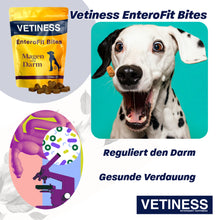 Carica l&#39;immagine nel visualizzatore della galleria, Vetiness EnteroFit Bites
