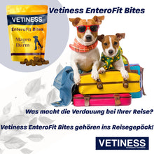 Carica l&#39;immagine nel visualizzatore della galleria, Vetiness EnteroFit Bites
